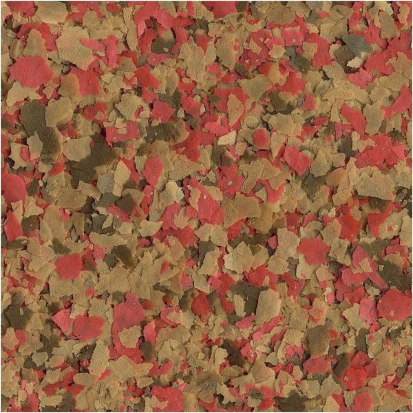 Tetra Goldfish Flake Food with Algae Color Enhancing Formula-5