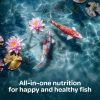 Central Garden Pond Fish Food Floating Protein Koi Goldfish-1