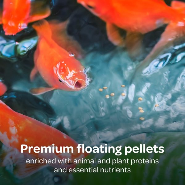 Central Garden Pond Fish Food Floating Protein Koi Goldfish-2