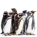 Kindle Store Best Seller Polar Regions Travel Guide-0