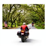 Alabama Travel Guide Kindle Edition by University Alabama Press-0