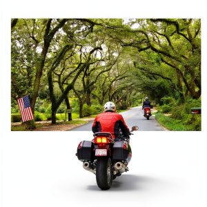 Alabama Travel Guide Kindle Edition by University Alabama Press-0