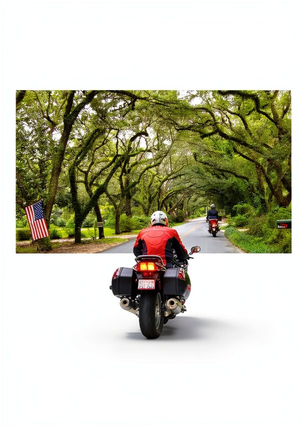 Alabama Travel Guide Kindle Edition by University Alabama Press-0